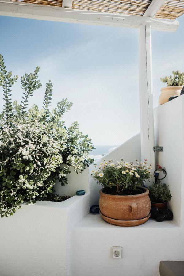 Kalyva Cycladic House - Oia Santorini别墅 外观 照片